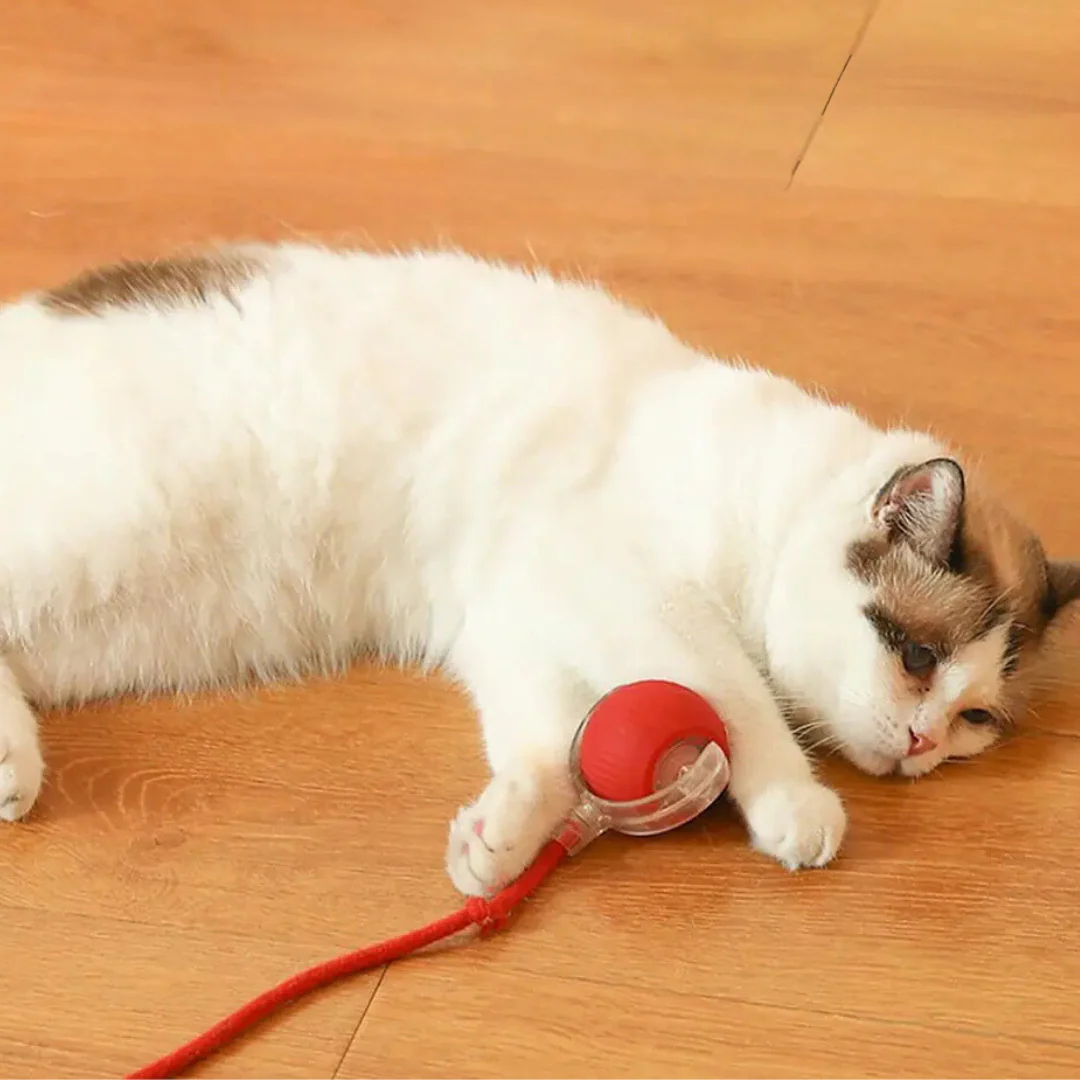 Active Rolling Ball with Tail for Cats - Image 3