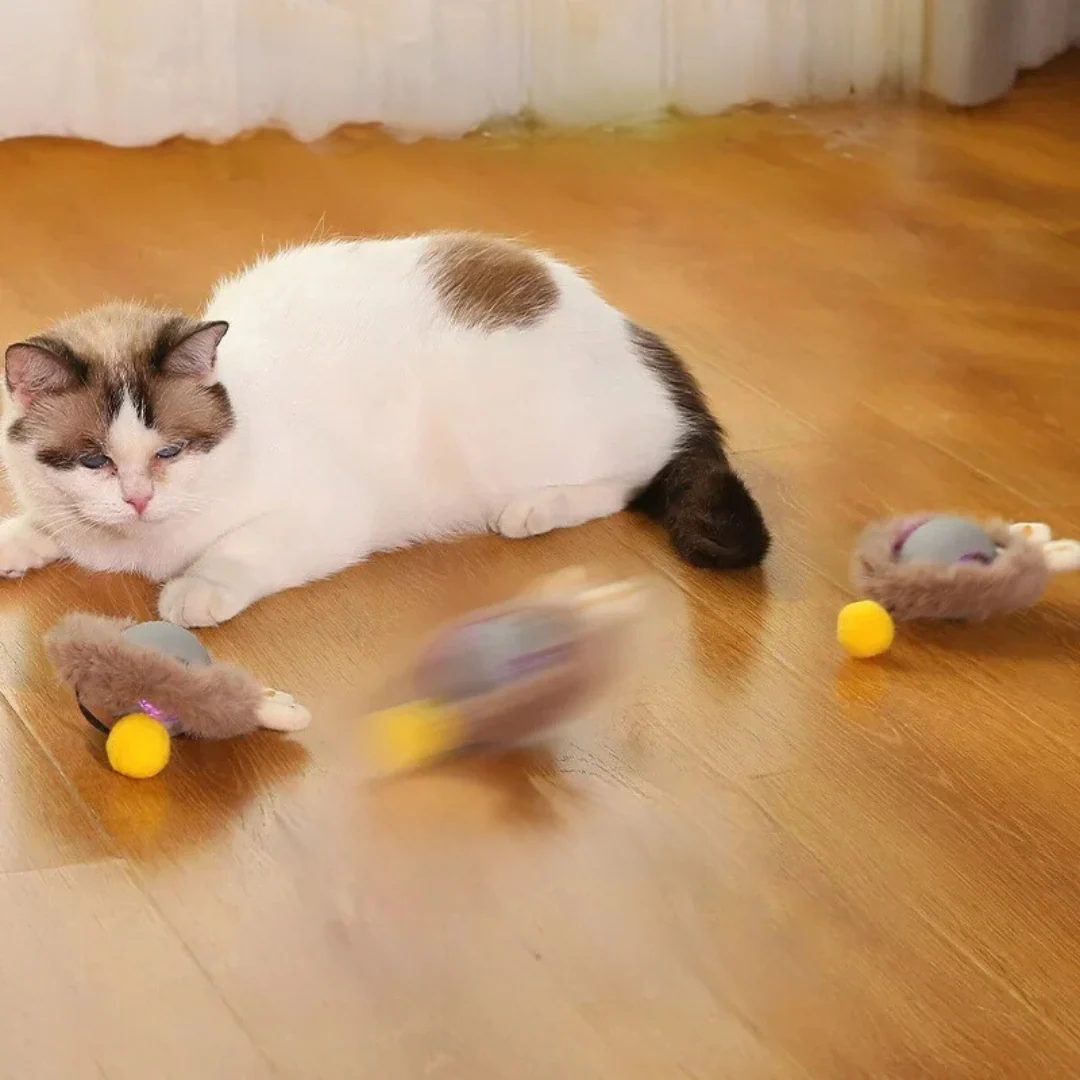 Active Rolling Ball with Tail for Cats - Image 5