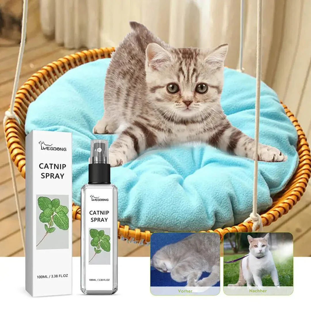Calming Spray for Cats - SilverLeaf Spray - Image 2