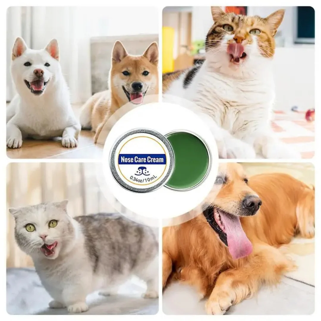 Care and protection cream for dog snouts - Image 3