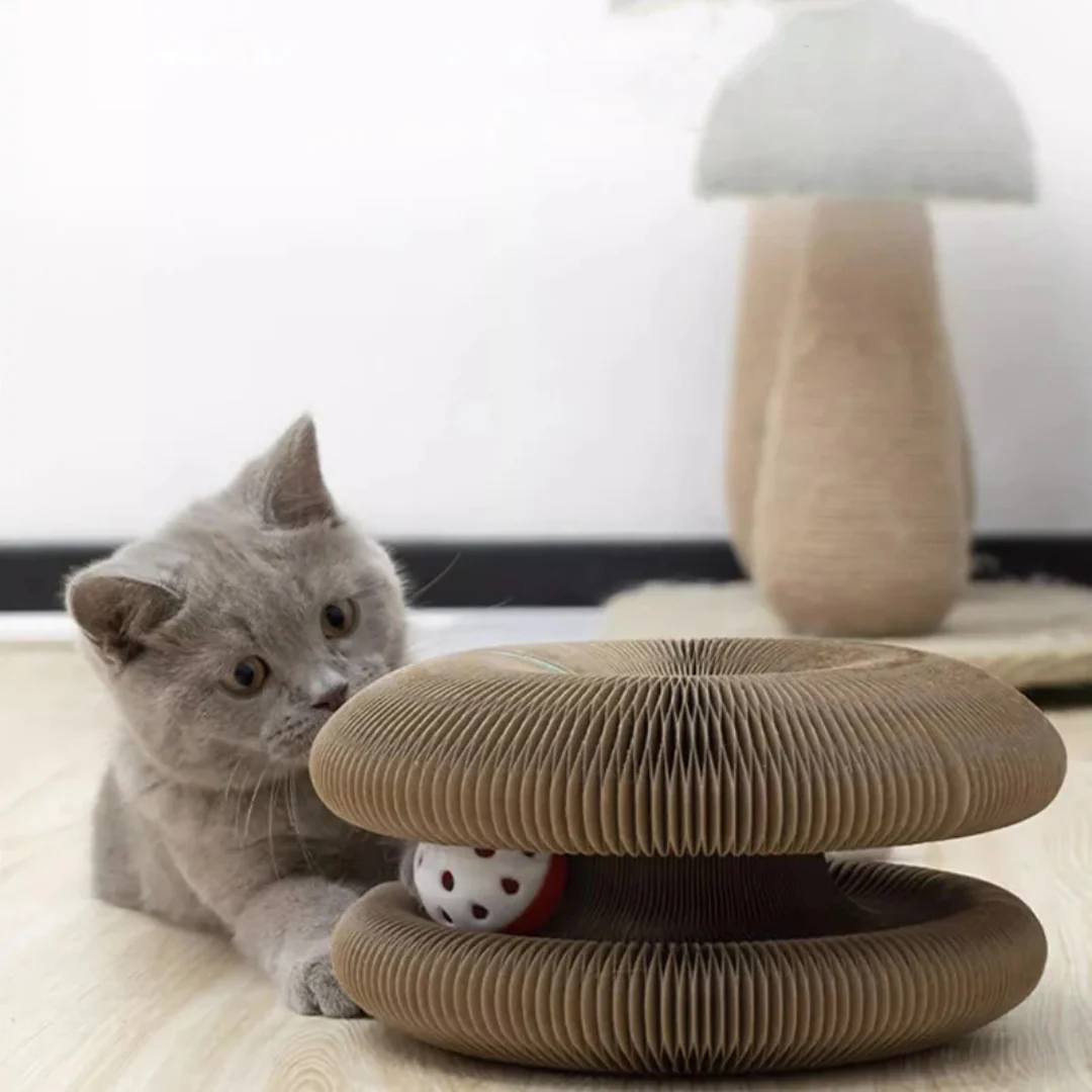 Cat Ball and Scratch Toy - Image 5