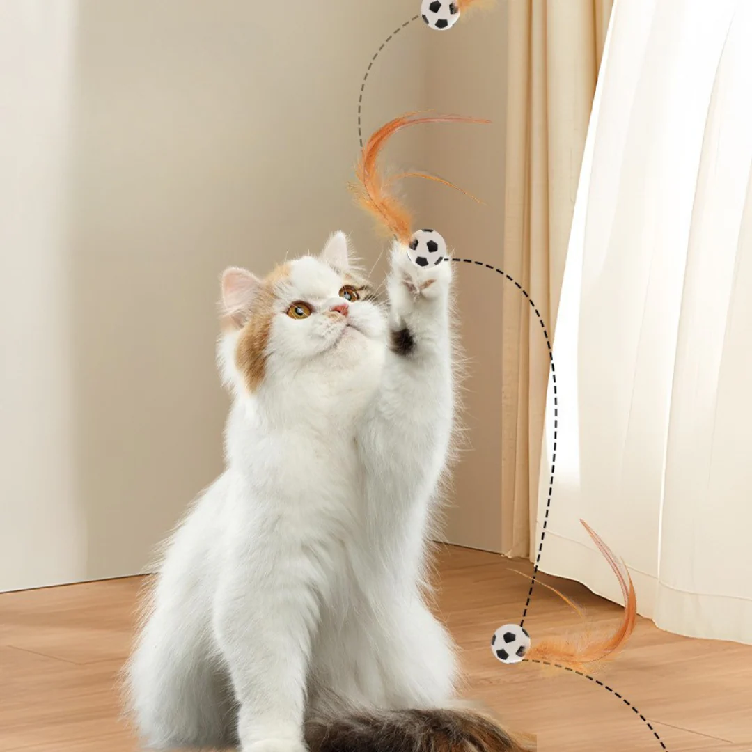 Cat Feather Rubber Ball Toy - Image 9