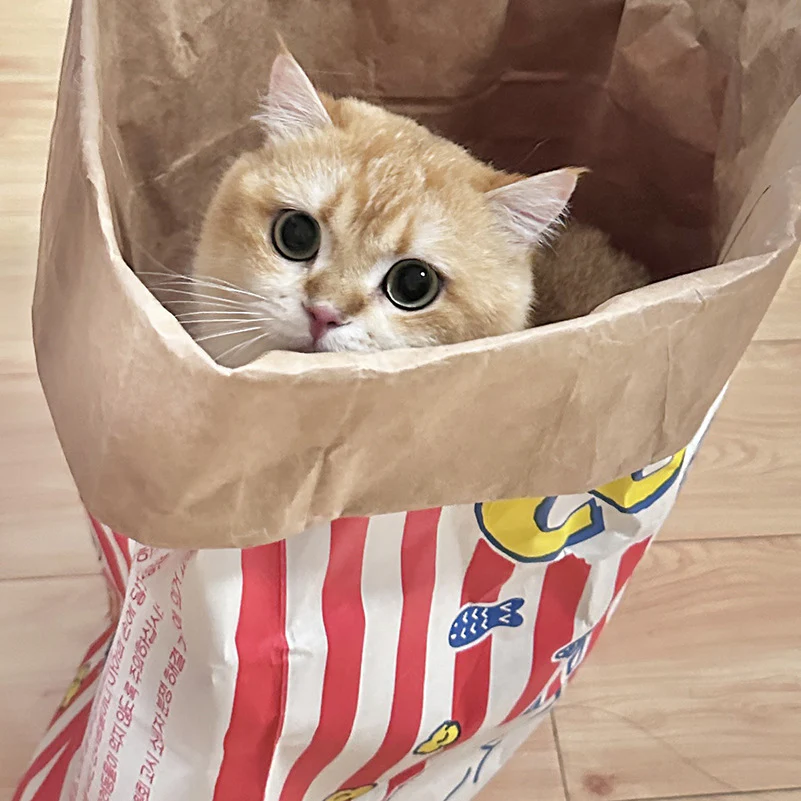 Cat Sleep & Play Cardboard Popcorn Bag - Image 3