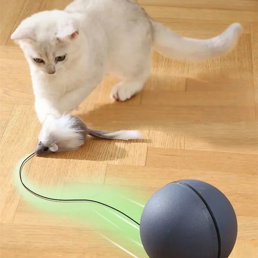Cat turbo ball with tail toy - Image 4