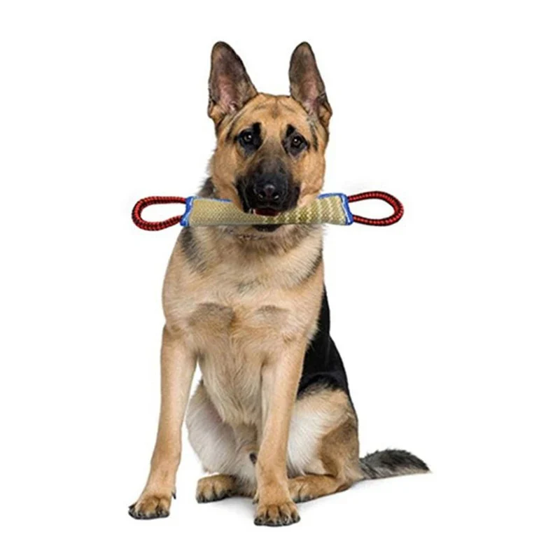 Chew Sticks & Chew Pads - Image 2