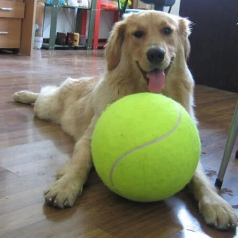 ChewTennis - Inflatable Tennis Pet Toy for Dogs - Image 3