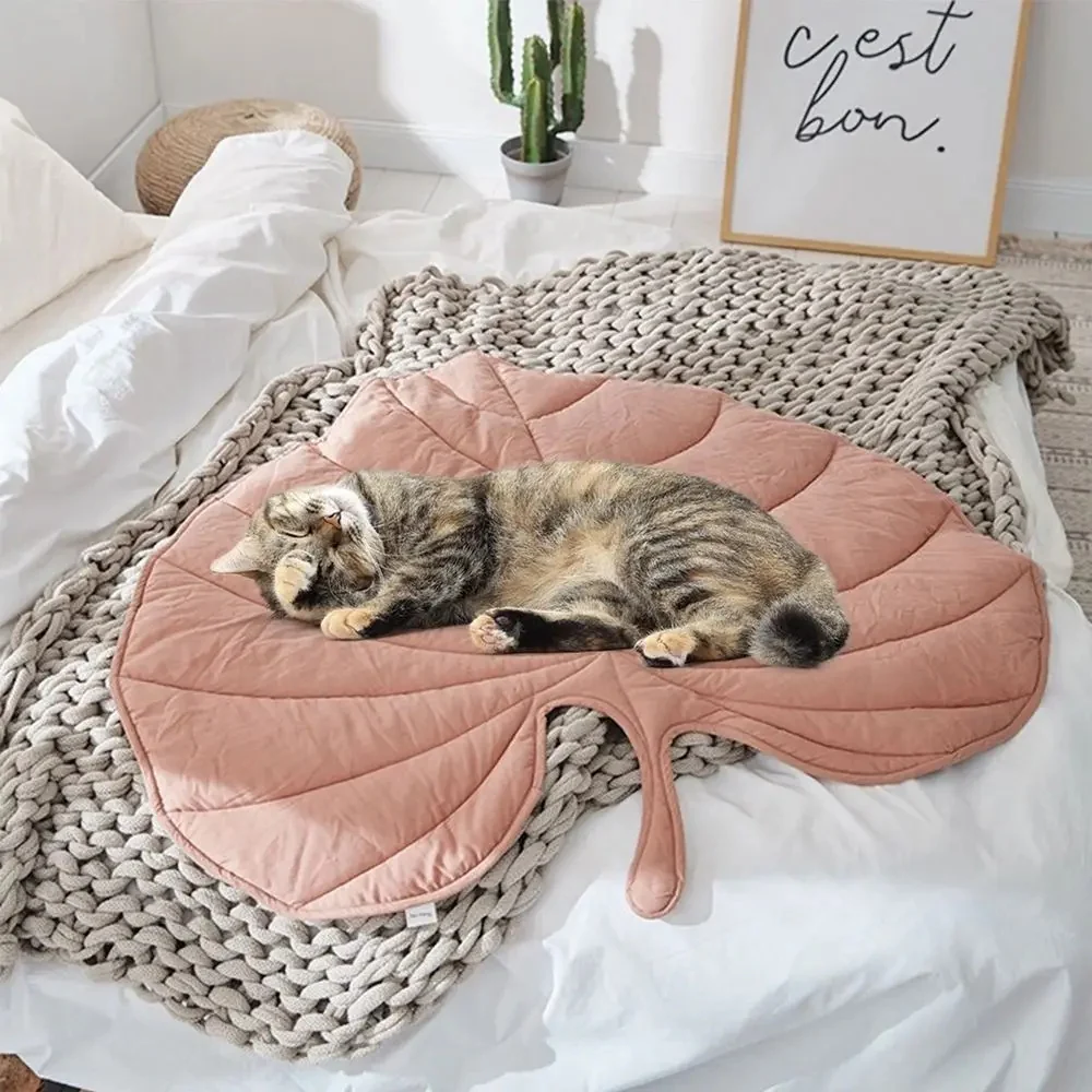 Chill Paw Mat - Image 6