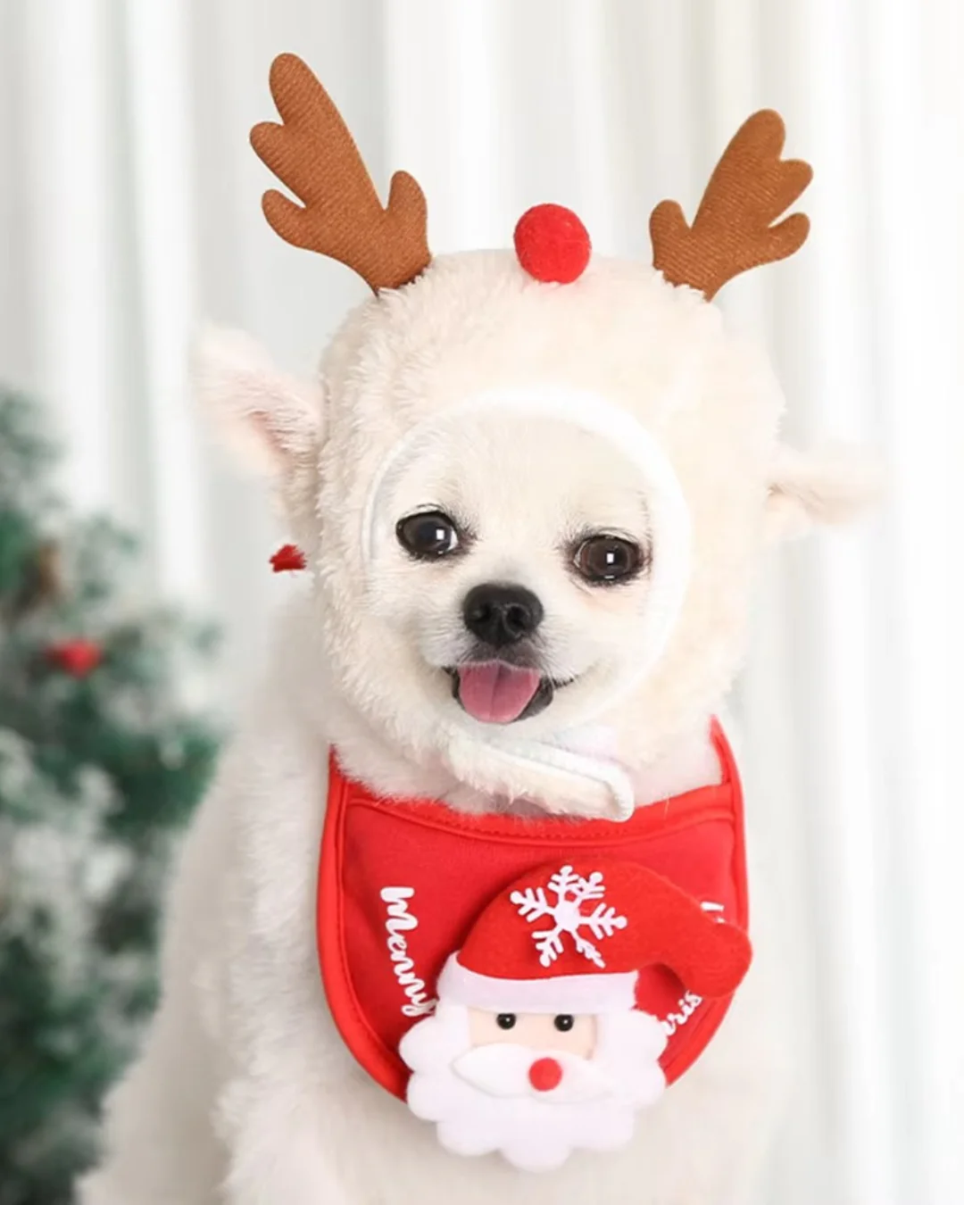 Christmas outfits for dogs - Image 4