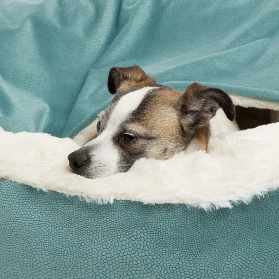 Cozy Pet Cave – FurHaven Retreat - Image 4