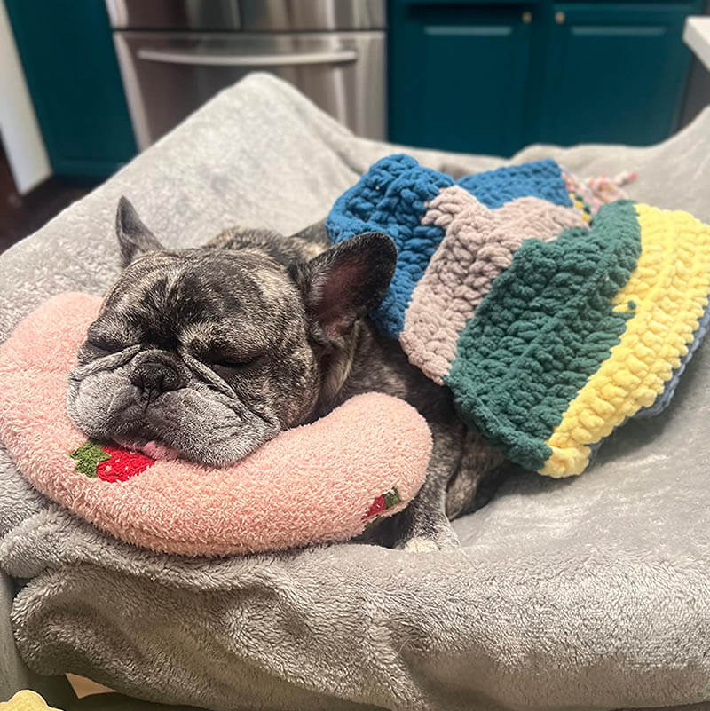CozyPaws Cushion for Dogs - RelaxPad - Image 3