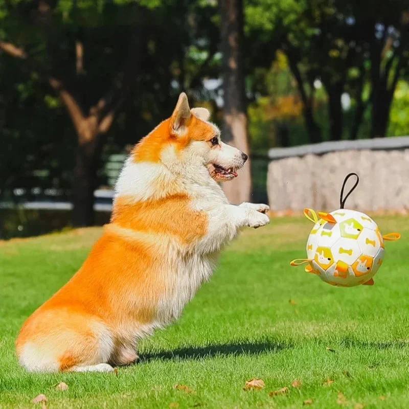 Dog Ball Toy with Integrated Pull Ropes - Image 4