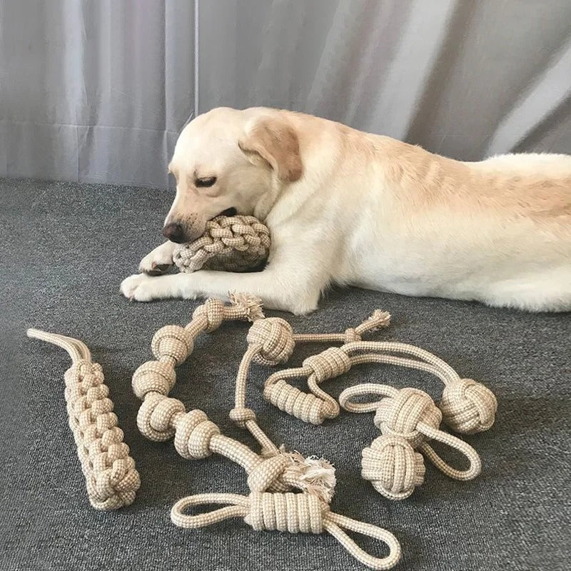 Dog Knot Toy – Fun and Effective Teeth Cleaner - Image 2