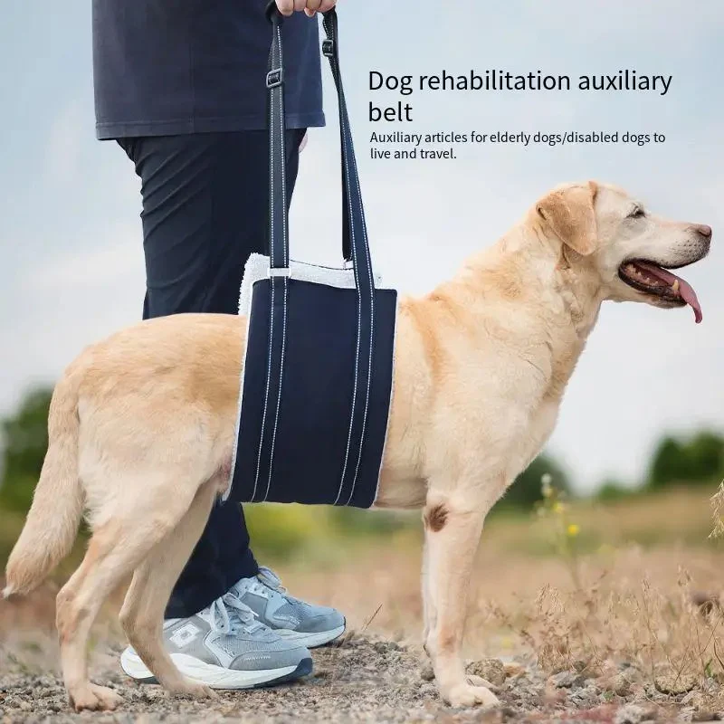 Dog support harness - Adjustable rehabilitation belt - Image 6