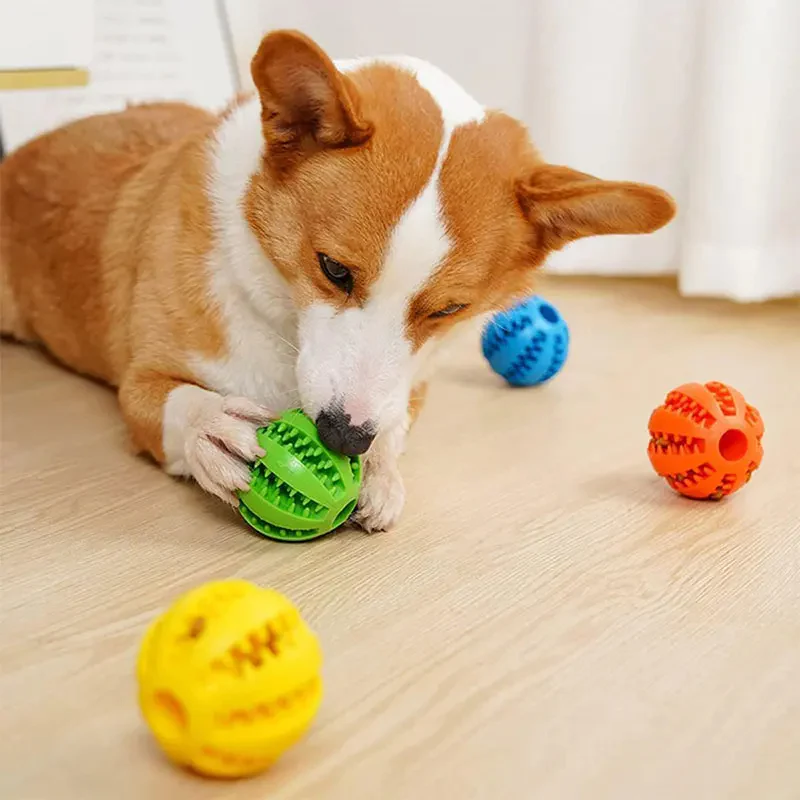 Dog Treat Chew Ball for Dental Cleaning - Image 3