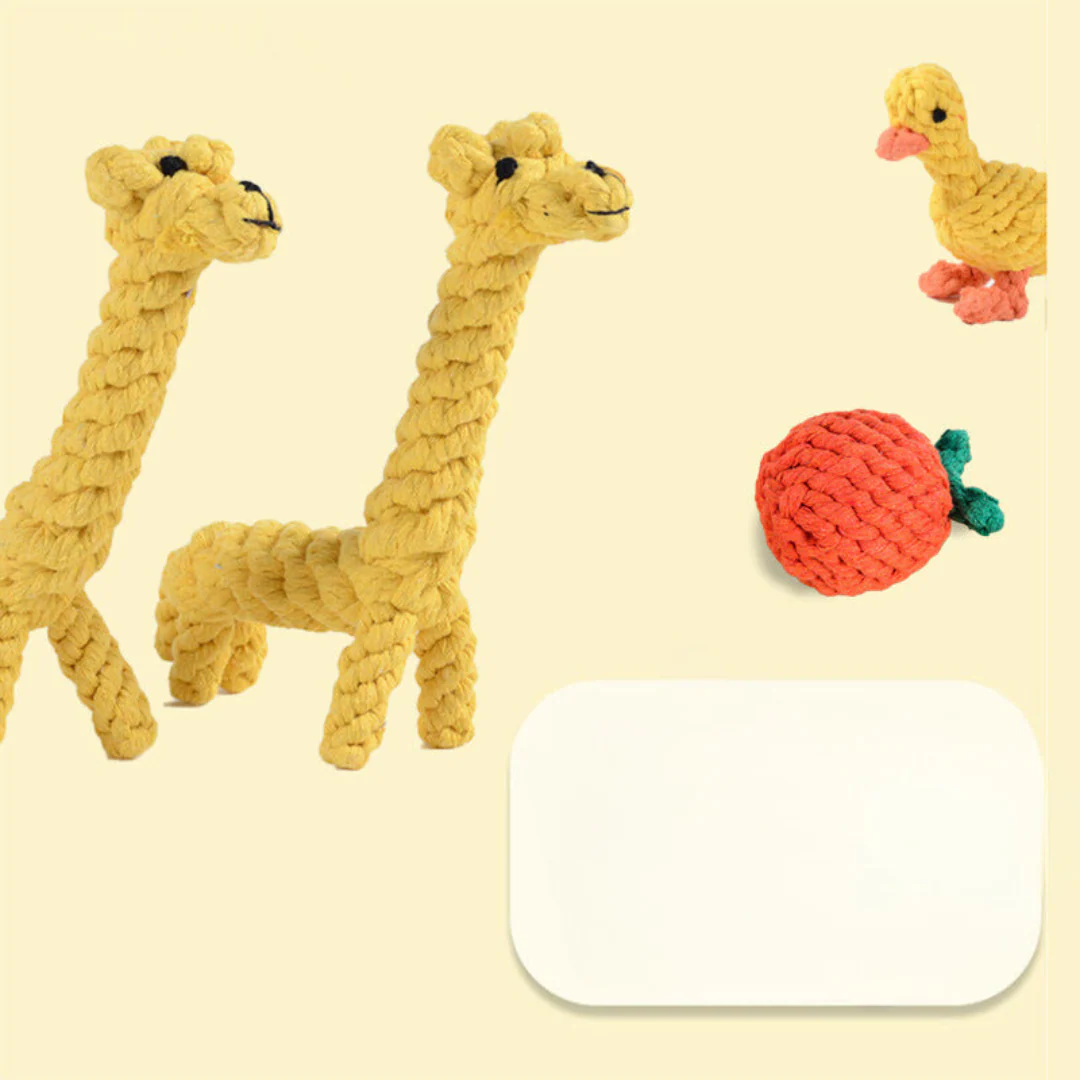 Durable Chew and Tug Play Set for Dogs - Image 10