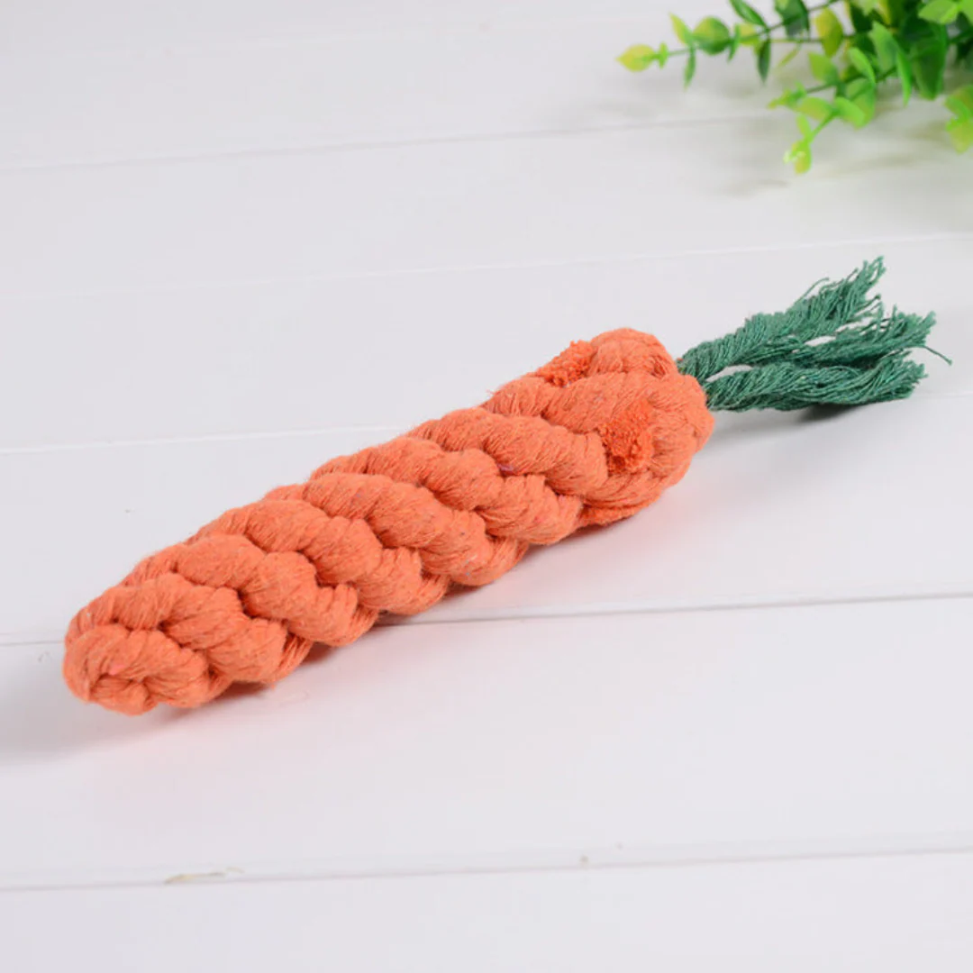 Durable Chew and Tug Play Set for Dogs - Image 8