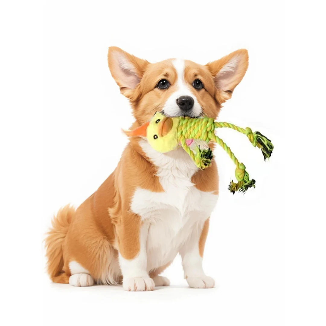Durable Dog Toy With Plush Head - Image 3
