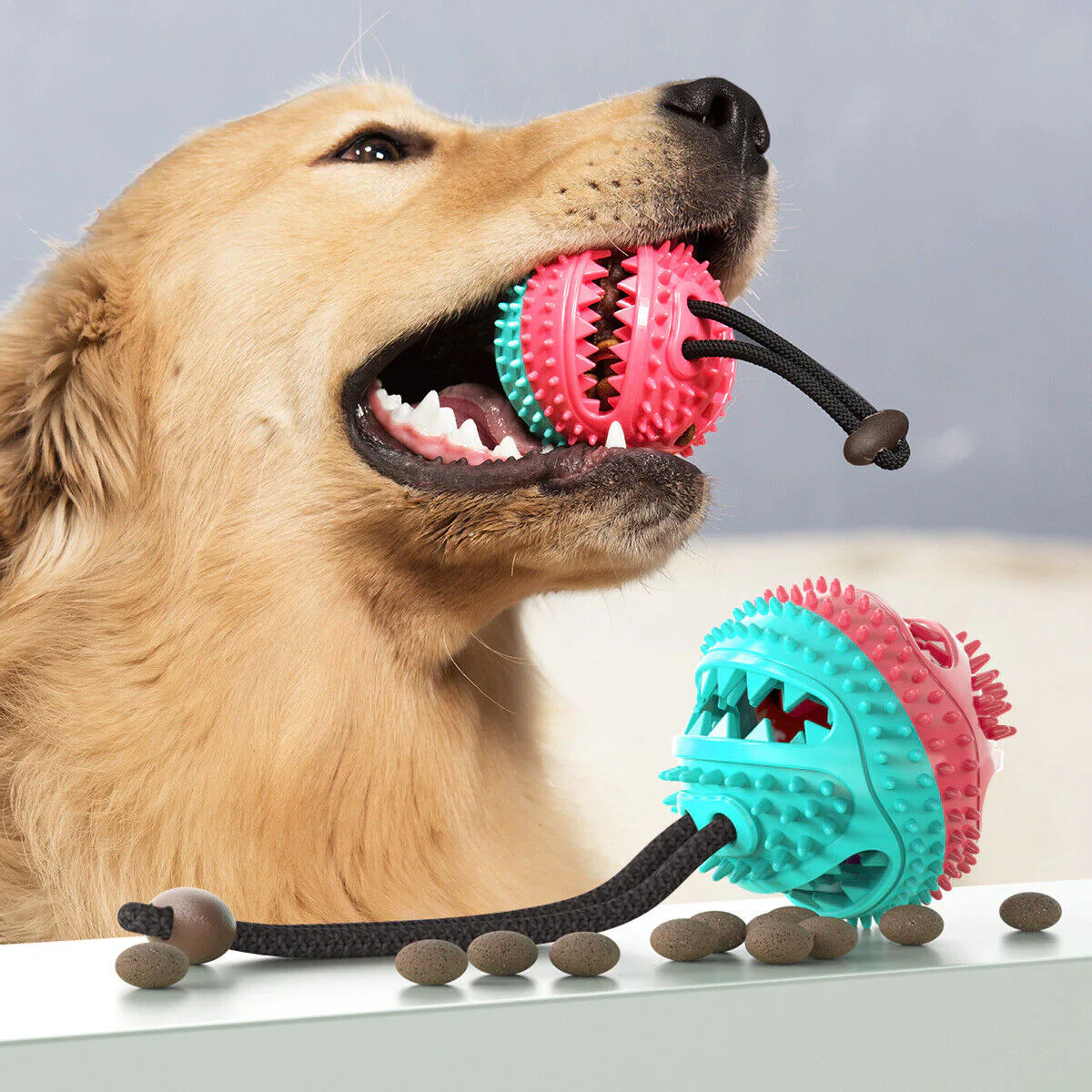 Durable Tug Toy for Dogs – PowerPaw - Image 5