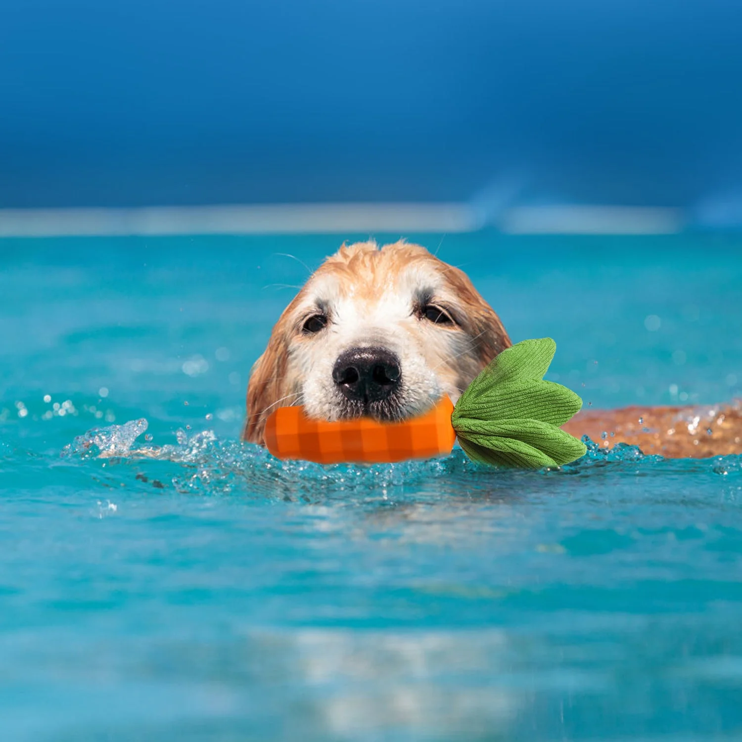 Eco-Friendly Natural Rubber Carrot for Dogs - Image 2