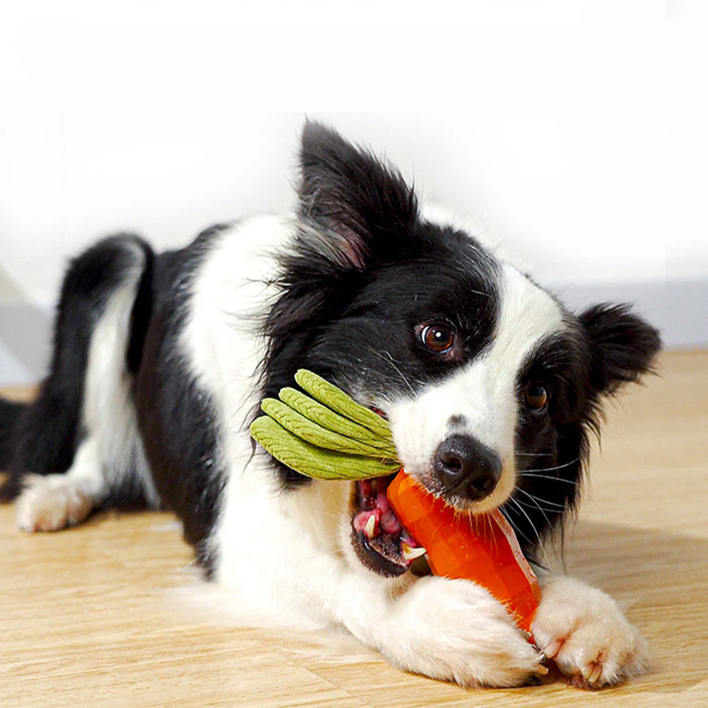 Eco-Friendly Natural Rubber Carrot for Dogs - Image 3