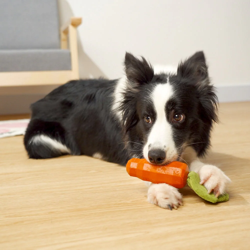 Eco-Friendly Natural Rubber Carrot for Dogs - Image 4