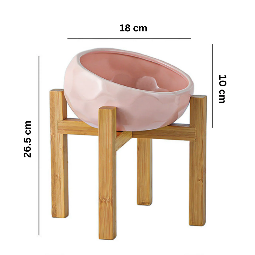 Ergonomic Elevated Pet Food Bowl - Image 11