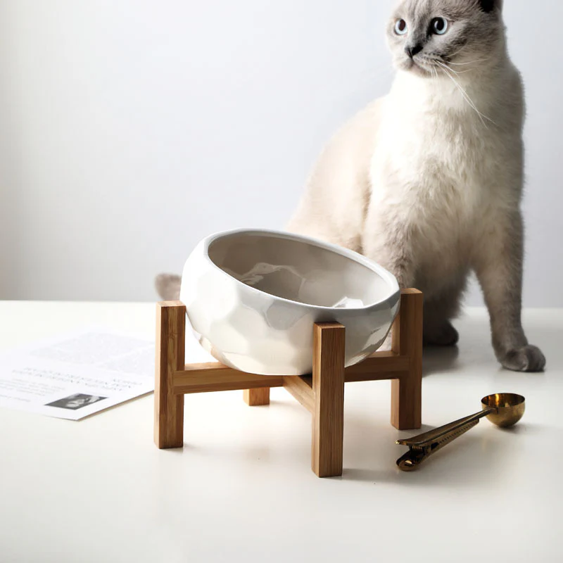Ergonomic Elevated Pet Food Bowl - Image 2