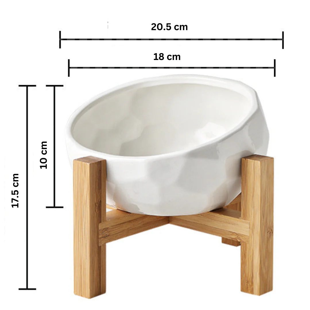 Ergonomic Elevated Pet Food Bowl - Image 7