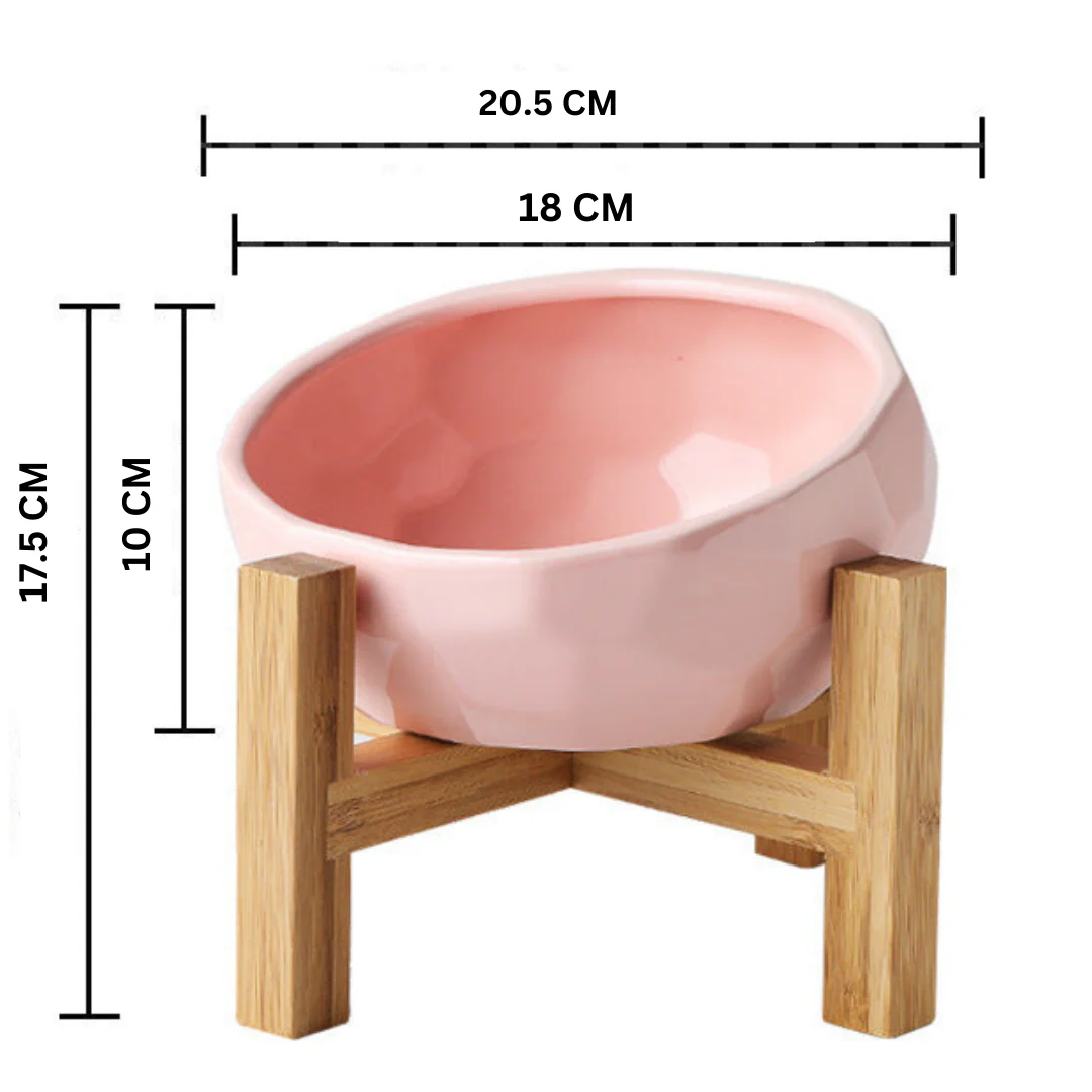 Ergonomic Elevated Pet Food Bowl - Image 8