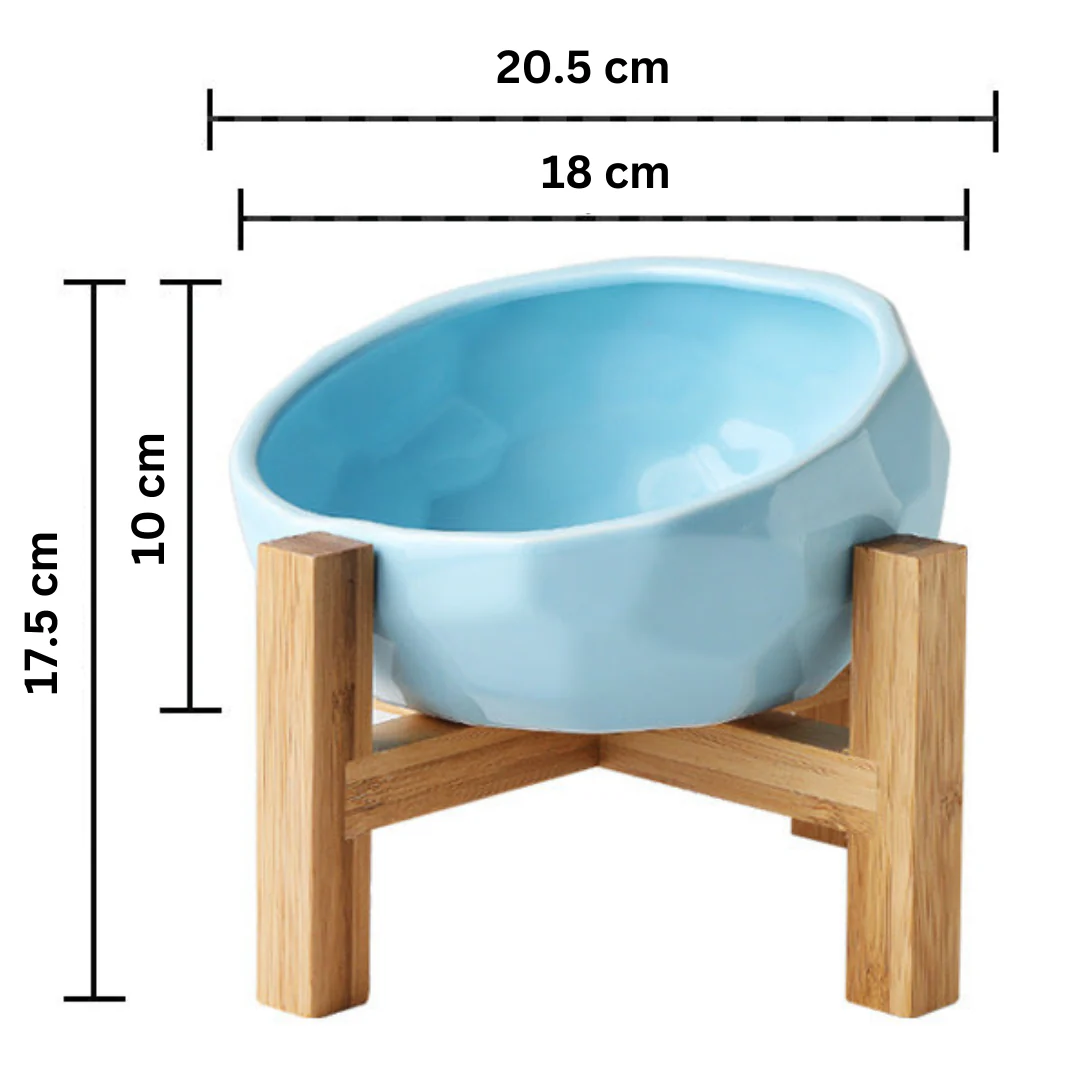 Ergonomic Elevated Pet Food Bowl - Image 9