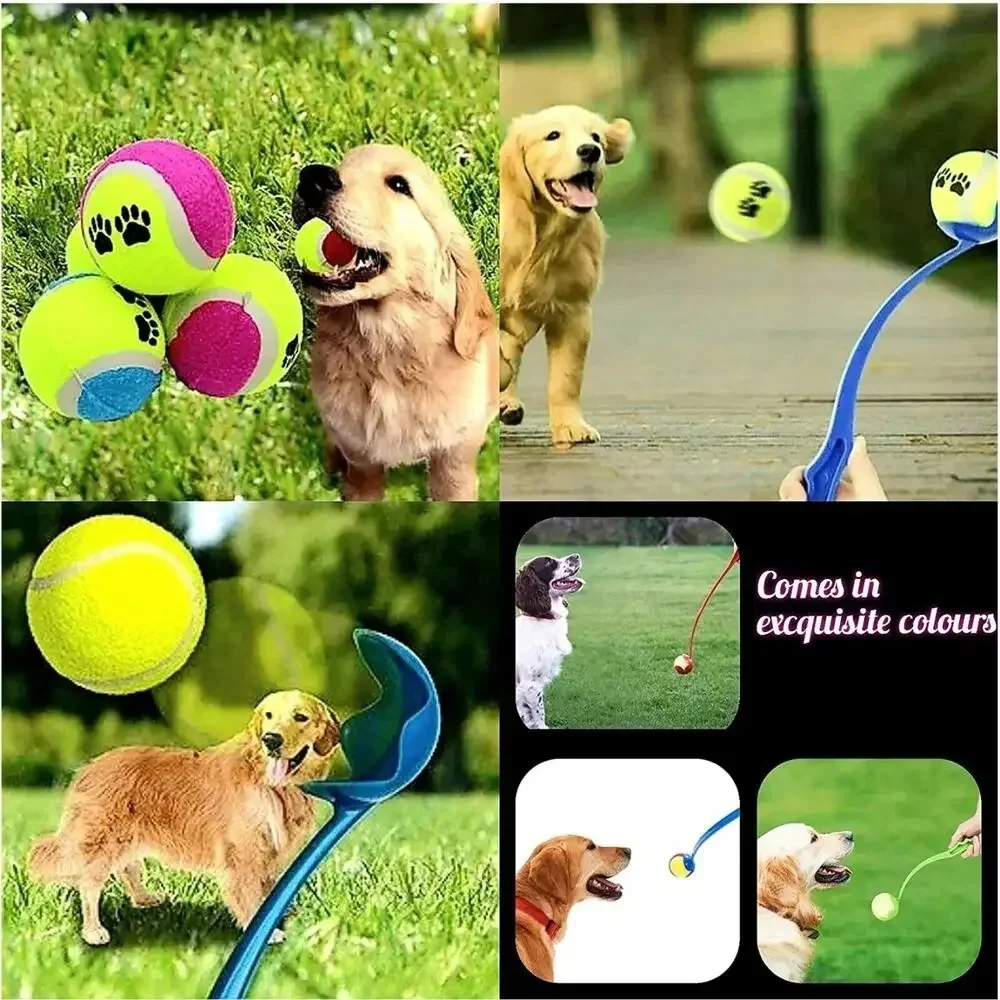 FetchStick β The Ultimate Throwing Stick for Dogs! - Image 5