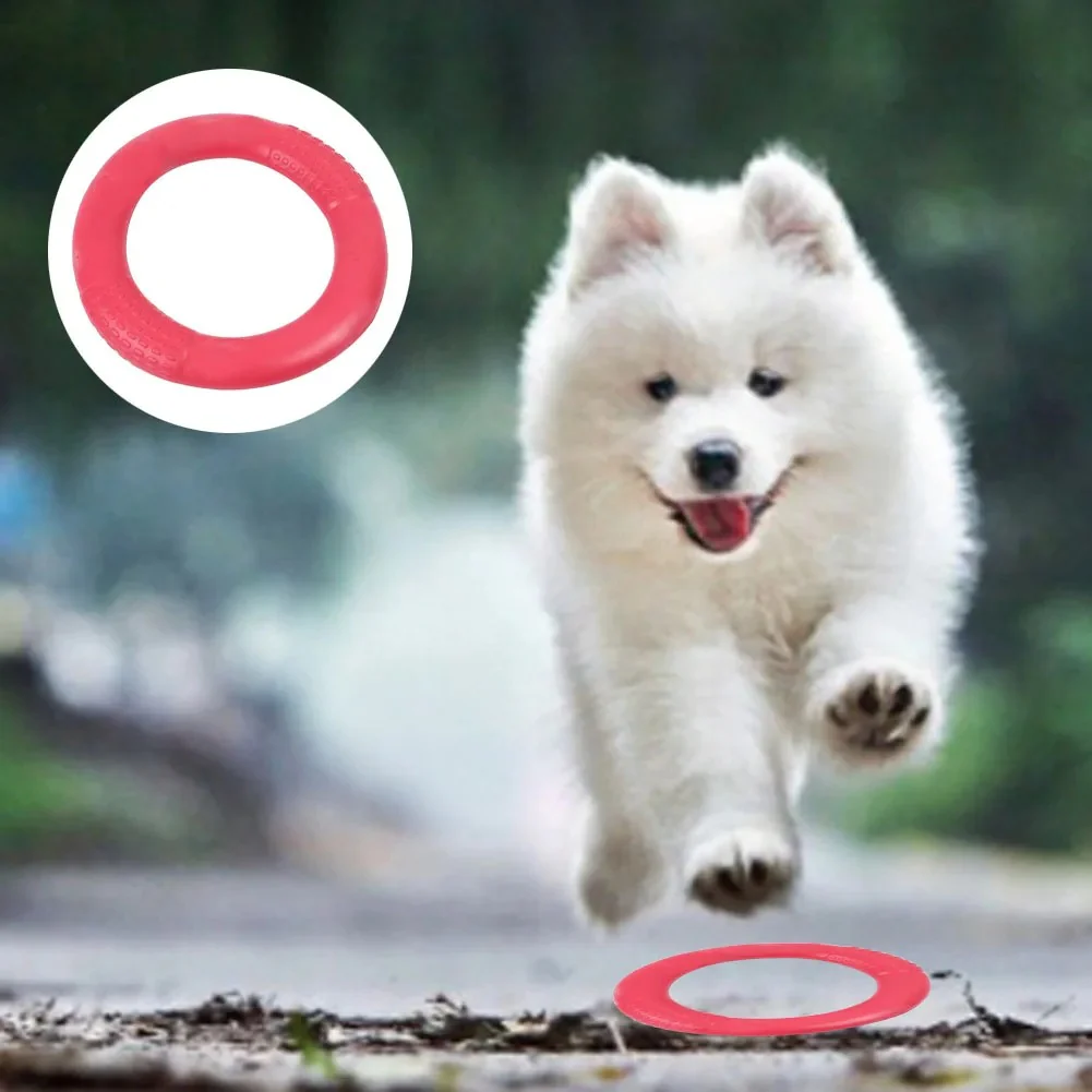 Floating Water Dog Toy Training Ring - Image 3