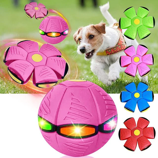 FlyingFrisball - Frisbee Ball for Dogs - Image 4
