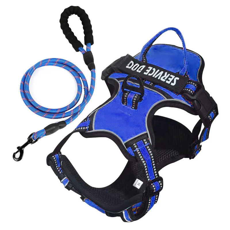 FreeMotion - Personalised Y-Shape Dog Harness - Image 12