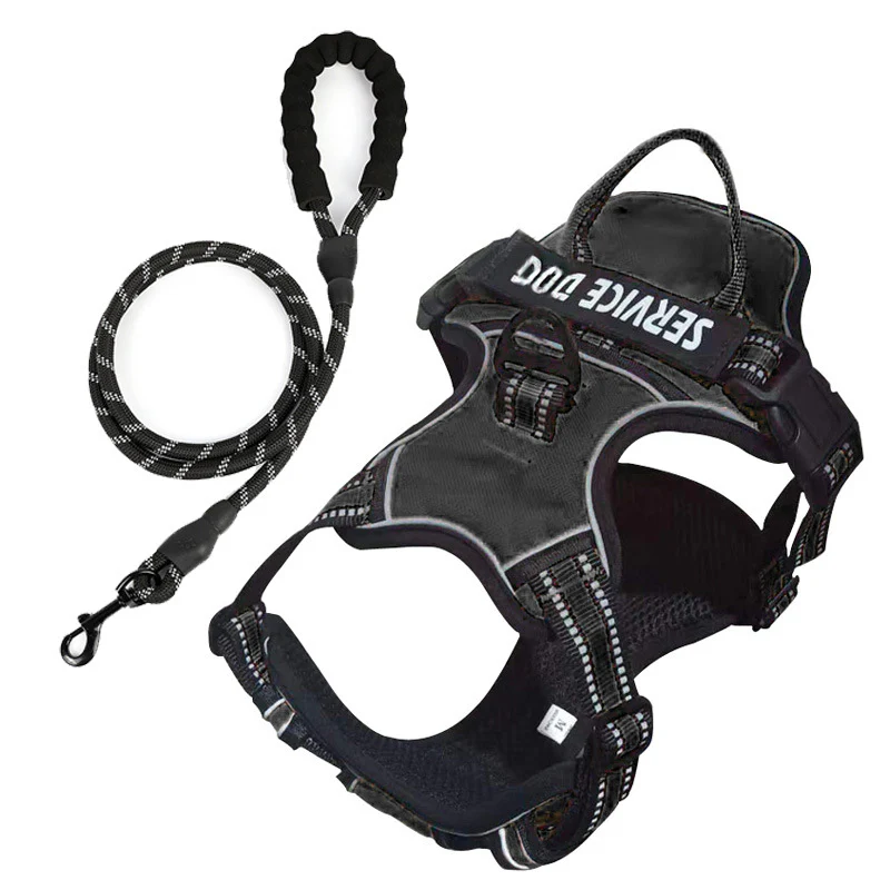 FreeMotion - Personalised Y-Shape Dog Harness - Image 13