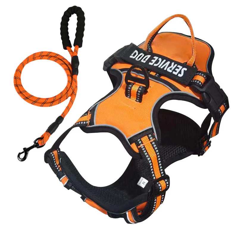 FreeMotion - Personalised Y-Shape Dog Harness - Image 14