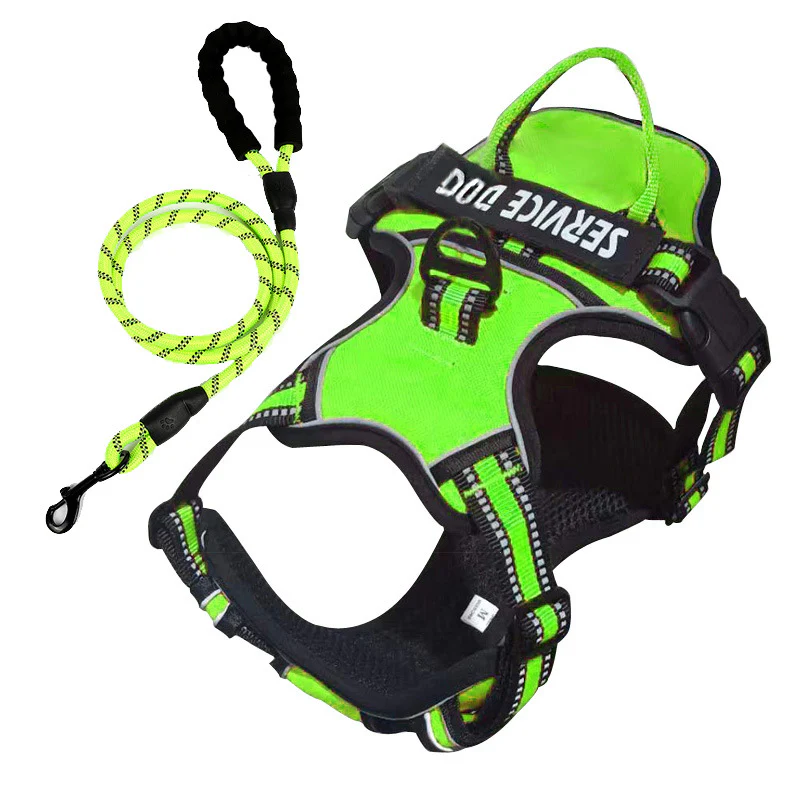 FreeMotion - Personalised Y-Shape Dog Harness - Image 15
