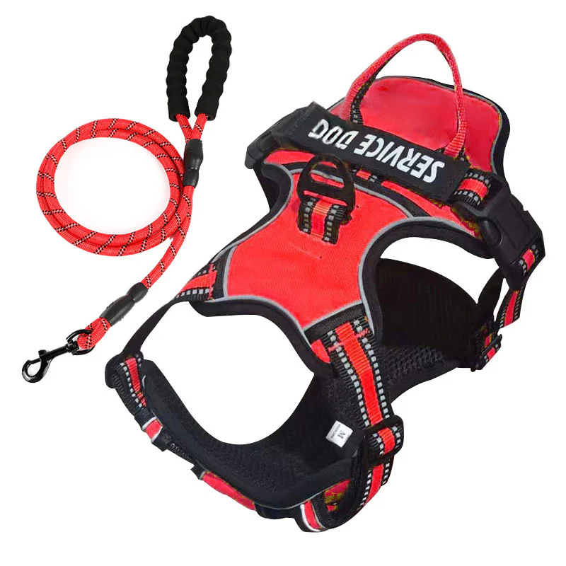 FreeMotion - Personalised Y-Shape Dog Harness - Image 17
