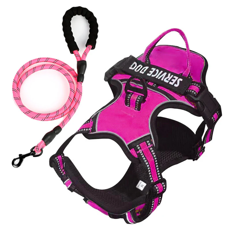 FreeMotion - Personalised Y-Shape Dog Harness - Image 18