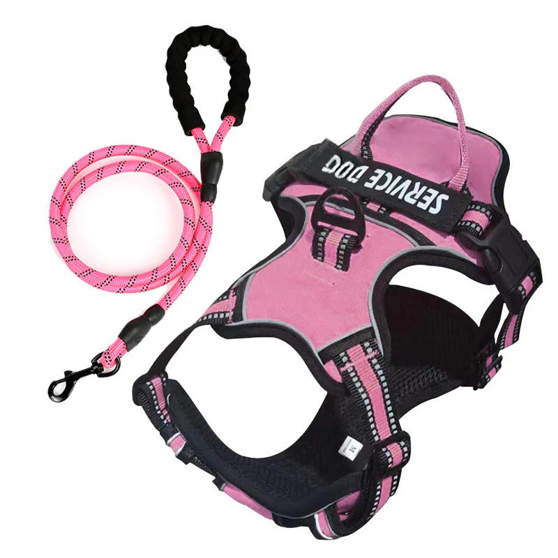 FreeMotion - Personalised Y-Shape Dog Harness - Image 19
