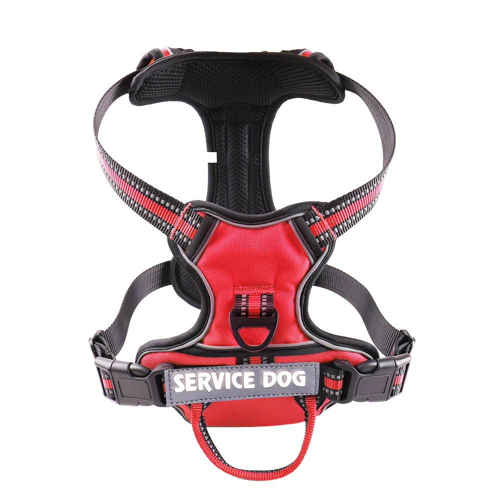 FreeMotion - Personalised Y-Shape Dog Harness - Image 6