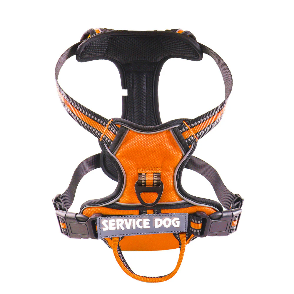 FreeMotion - Personalised Y-Shape Dog Harness - Image 8