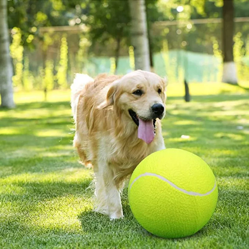 Giant Tennis Ball For Dogs - Image 2