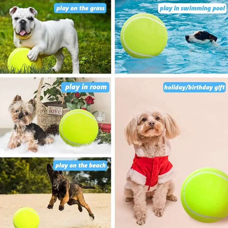 Giant Tennis Ball For Dogs - Image 5
