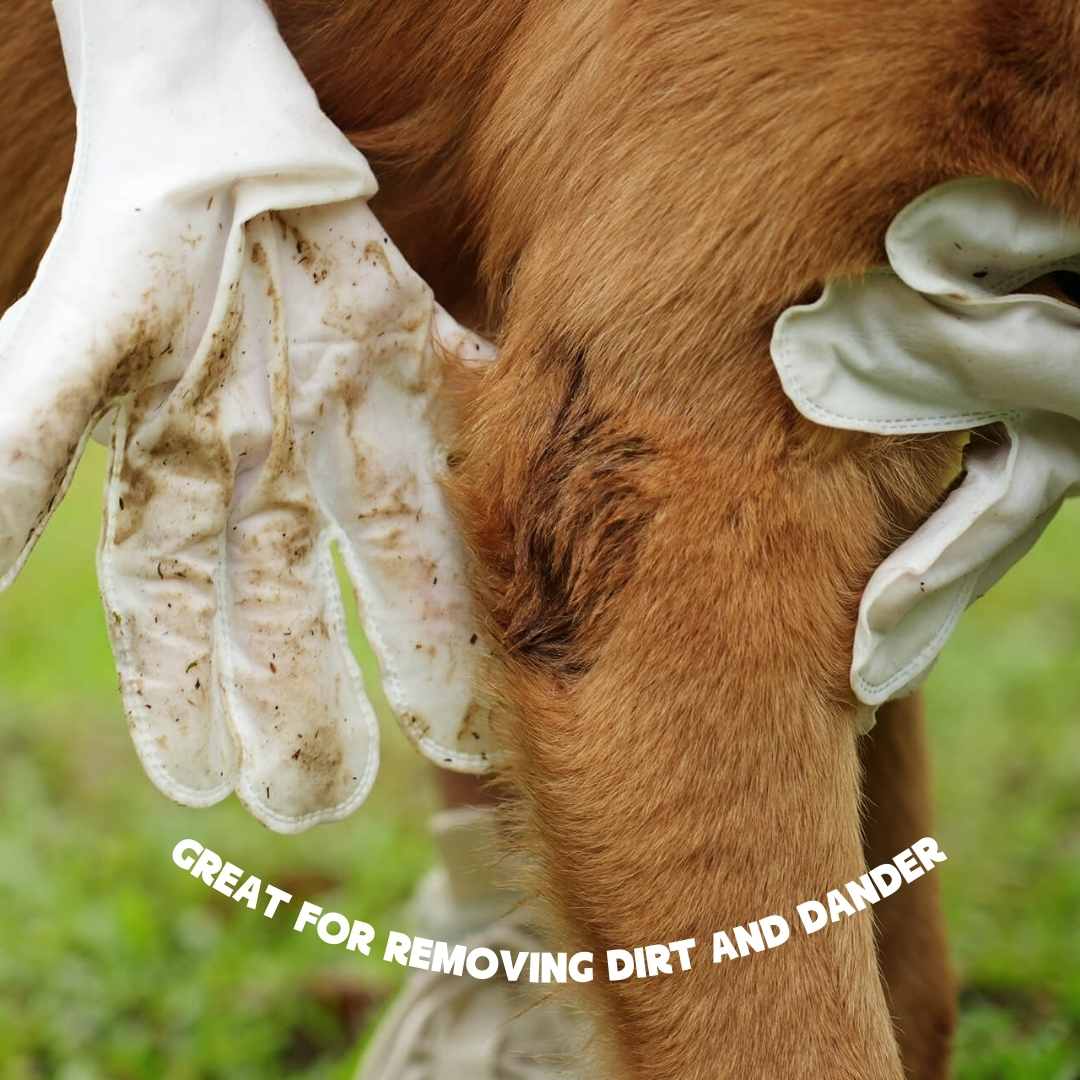 Glove cleaning wipes for pets - Image 2