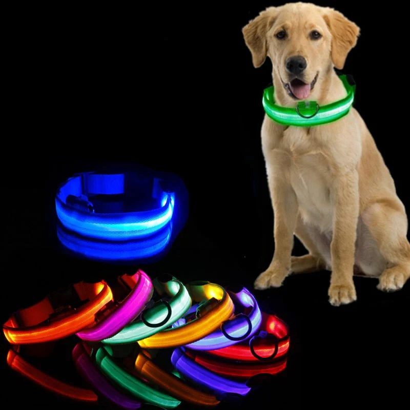 GlowCollar LED – BrightPaws - Image 4
