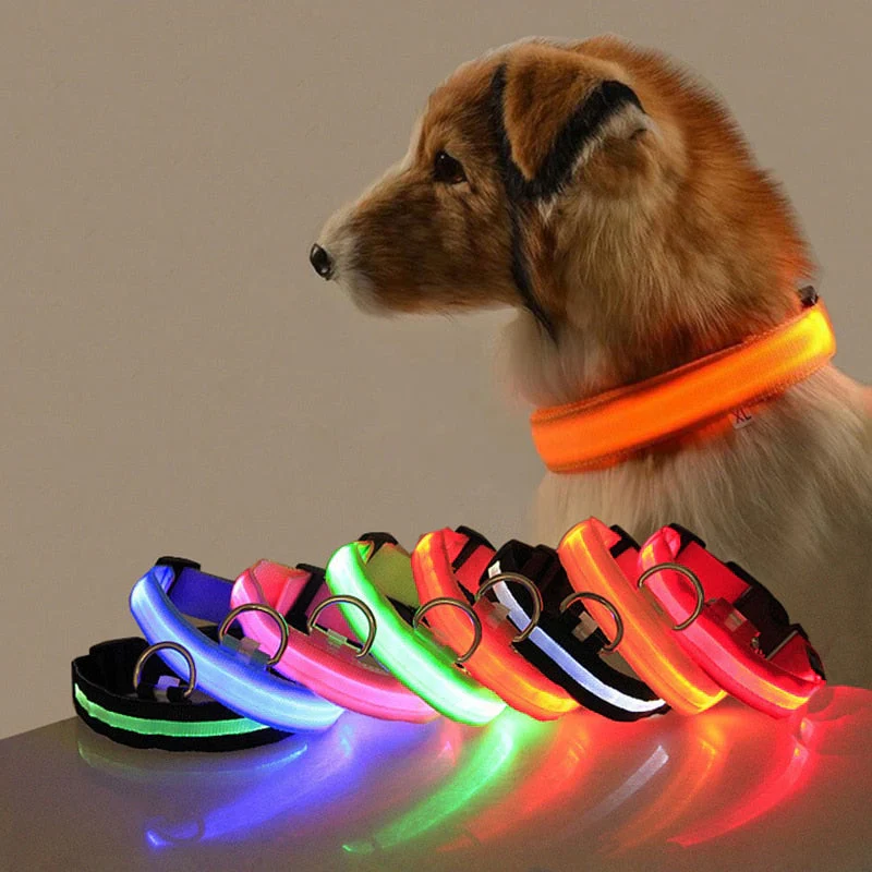 GlowCollar LED – BrightPaws - Image 5