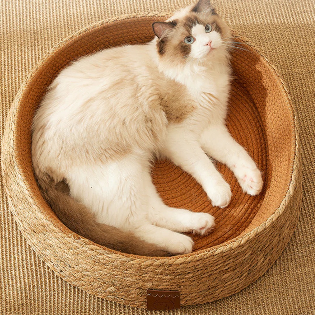 Hand-woven rattan cat scratching bed - Image 7