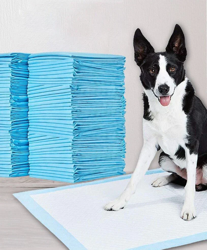 Pet Training Pads - DryPaws Mats - Image 5