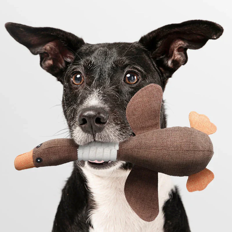 Dog Toy (1+1 FREE) β StarkGans